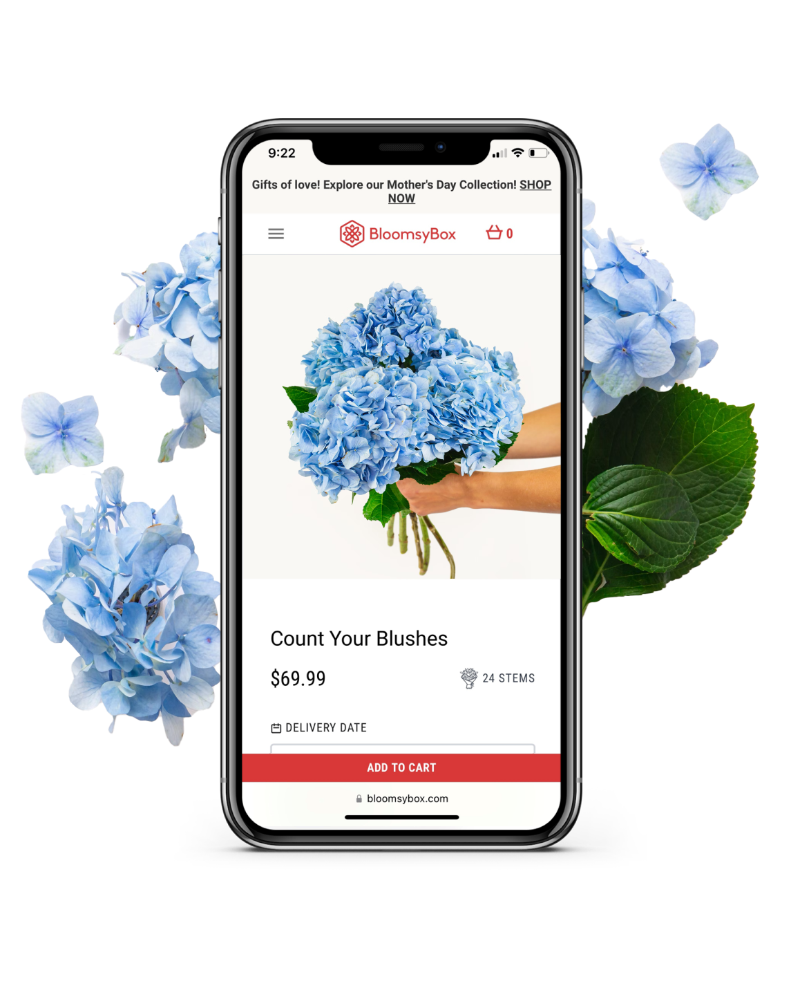 BloomsyBox Chatbot Case Study