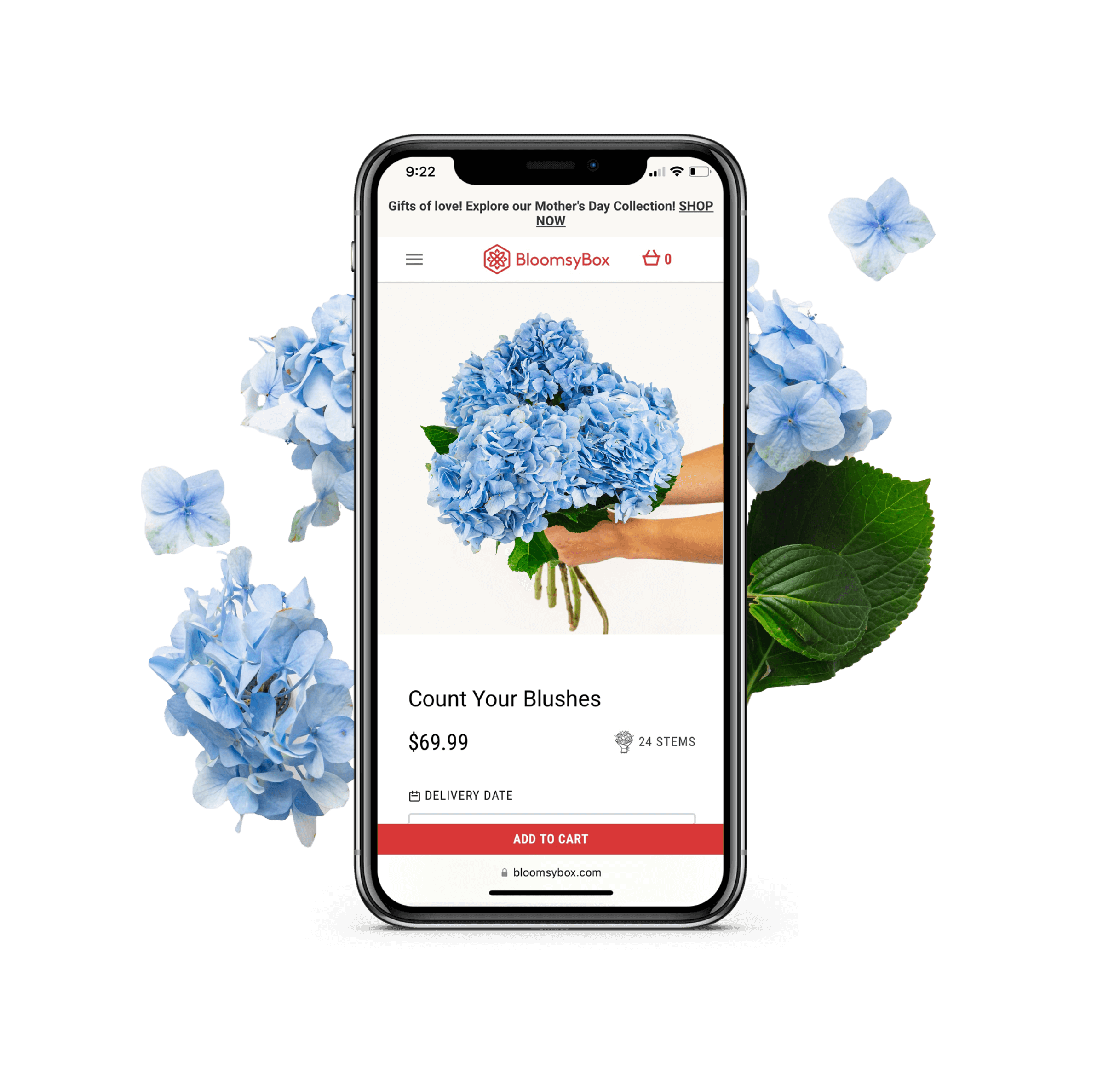 BloomsyBox Chatbot Case Study